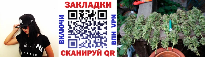 Где купить Закаменск ГЕРОИН  Псилоцибиновые грибы  ГАШ  COCAIN 