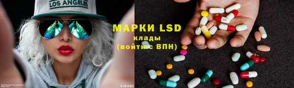 шишки Абаза