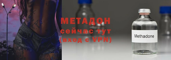 шишки Абаза
