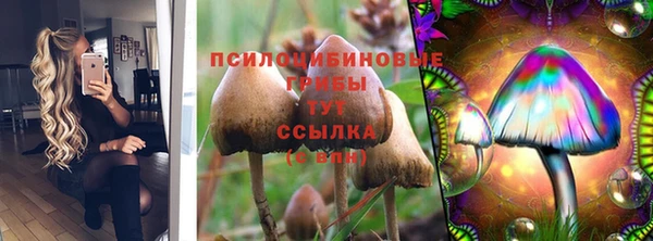 хмурый Алзамай