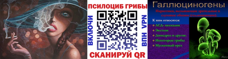 Галлюциногенные грибы Psilocybine cubensis Закаменск